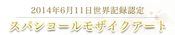 2014年6月11日 世界記録認定スパンコールモザイクアート